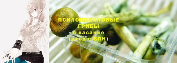 Альфа ПВП Костерёво