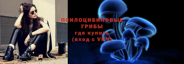 Альфа ПВП Костерёво