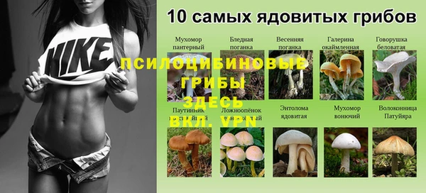меф Коряжма