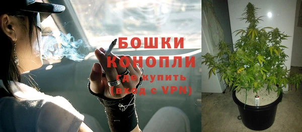 Альфа ПВП Костерёво