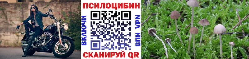Псилоцибиновые грибы Magic Shrooms Купить Приморск